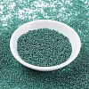 MIYUKI Round Rocailles Beads SEED-X0054-RR0322-2