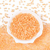Glass Seed Beads SEED-N007-27E-2