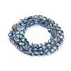 Electroplate Glass Beads Strands EGLA-F143-A-FR01-2