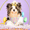 4Pcs 4 Styles Triangle Polyester Pet Handkerchi AJEW-CP0006-08A-03-4