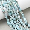 Natural Larimar Beads Strands G-K203-48-5