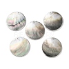 Natural Black Lip Shell Disc Pendants SSHEL-B002-03B-01-1