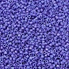 MIYUKI Delica Beads X-SEED-J020-DB1597-3