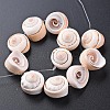 Natural Spiral Shell Bead Strands X-SSHEL-N034-106-3