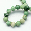 Natural Qinghai Jade Beads Strands G-S141-04-2