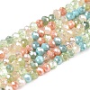 Electroplate Glass Beads Strands GLAA-T023-A16-07-1