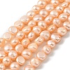 Natural Cultured Freshwater Pearl Beads Strands PEAR-P064-19J-01A-2