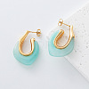 304 Stainless Steel & Resin Stud Earrings GJ4743-7-1