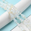 Opalite Beads Strands G-C039-A03-3