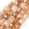 Natural Agate Beads Strands G-G172-01F-2