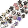 5 Styles Synthetic Imperial Jasper & Natural Green Spot Jasper & Rhodonite & Dalmatian Jasper & Kambaba Jasper Beads Strands G-D095-A02-2