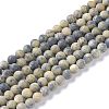 Natural Yellow Turquoise(Jasper) Beads Strands G-H245-02B-1