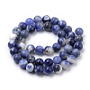 Natural South Africa Sodalite Beads Strands X-G-S259-35-8mm-2