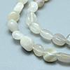 Natural Grey Moonstone Beads Strands G-D0002-B42-3