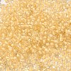 12/0 Transparent Glass Seed Beads SEED-F003-03C-14-3