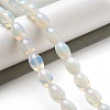 Opalite Beads Strands G-B106-B03-01-2