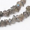 Chips Natural Black Larvikite Beads Strands G-N0164-61-2