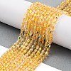 Electroplate Glass Beads Strands EGLA-D031-01Q-1