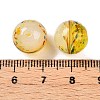 Handmade Lampwork Beads LAMP-T023-02A-04-3