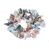 Natural Blue Opal Beads Strands G-I225-13B-2