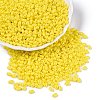 Baking Paint Glass Seed Beads SEED-T006-03C-3