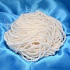 Round Shell Pearl Bead Strands BSHE-L011-3mm-A013-2