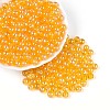 Transparent Glass Seed Beads SEED-N007-33B-06-1