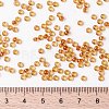 MIYUKI Round Rocailles Beads X-SEED-G008-RR0377-2