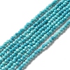 Natural Howlite Beads Strands G-C025-02A-01-1