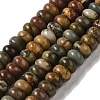 Natural Chiastolite Beads Strands G-Q161-A03-02-6