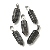 Natural Labradorite Pendants G-Z067-07P-24-2