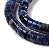 Natural Sodalite Beads Strands G-C240-04A-4