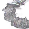 Natural Quartz Crystal Points Beads Strands G-K181-B21-3