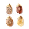 Natural Striped Agate Pendants PALLOY-JF01215-1