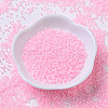 MIYUKI Delica Beads SEED-X0054-DB0244-2