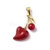 Brass Resin Pendants LS-KK-D383-01G-02-1