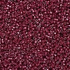 MIYUKI Delica Beads SEED-MY11-DB0654-3