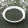 MIYUKI Round Rocailles Beads X-SEED-G007-RR0459-2