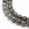 Natural Labradorite Beads Strands G-P322-30-6mm-3