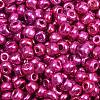 6/0 Glass Seed Beads E06900F4-1