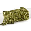 Natural Peridot Beads Strands G-P332-48-02-1