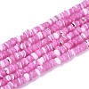 Natural Trochid Shell/Trochus Shell Beads Strands SSHEL-N040-21E-1