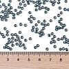 TOHO Round Seed Beads SEED-TR08-0506-4