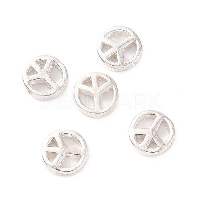925 Sterling Silver Beads STER-A010-165-1