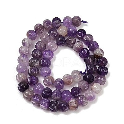 Natural Amethyst Beads Strands G-Z080-B04-8x6mm-1