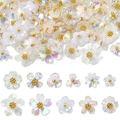 110Pcs 11 Styles Acrylic Charms PALLOY-YW00211-1