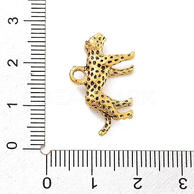 Tibetan Style Alloy Charms X-FIND-G077-02AG-1