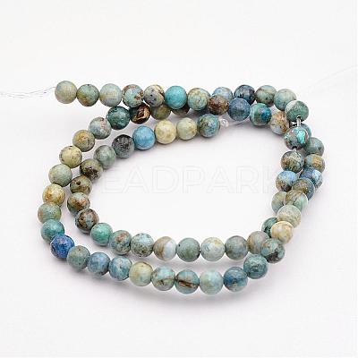 Natural Variscite Bead Strands G-P300-01-6mm-1
