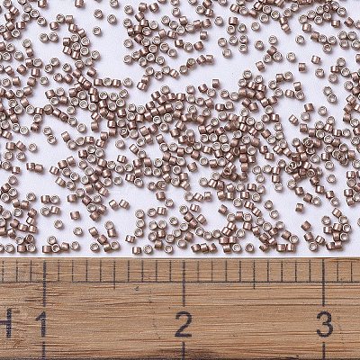 MIYUKI Delica Beads X-SEED-J020-DB1157-1