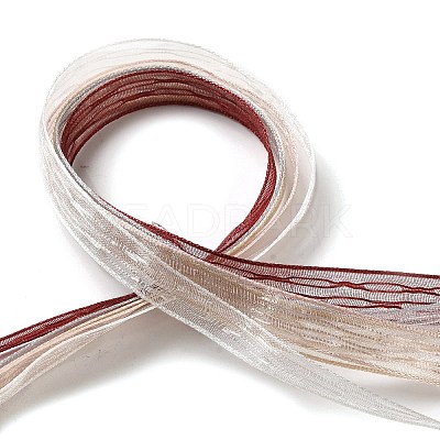 Polyester and Nylon Ribbon Sets DIY-Z029-01H-1